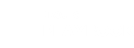 Project Playbook